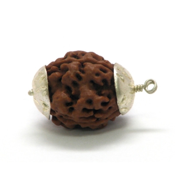 Rudraksha Bead: 3 Faces