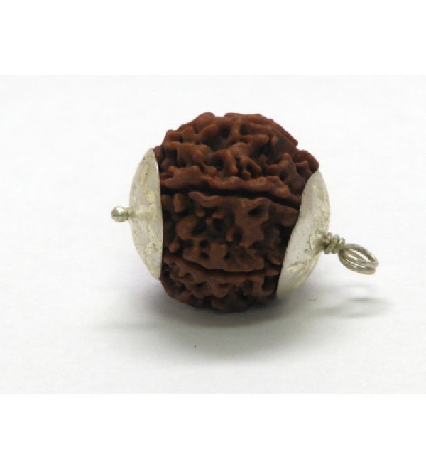 Rudraksha Bead: 6 Faces