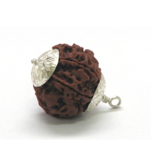 Rudraksha Bead: 7 Faces