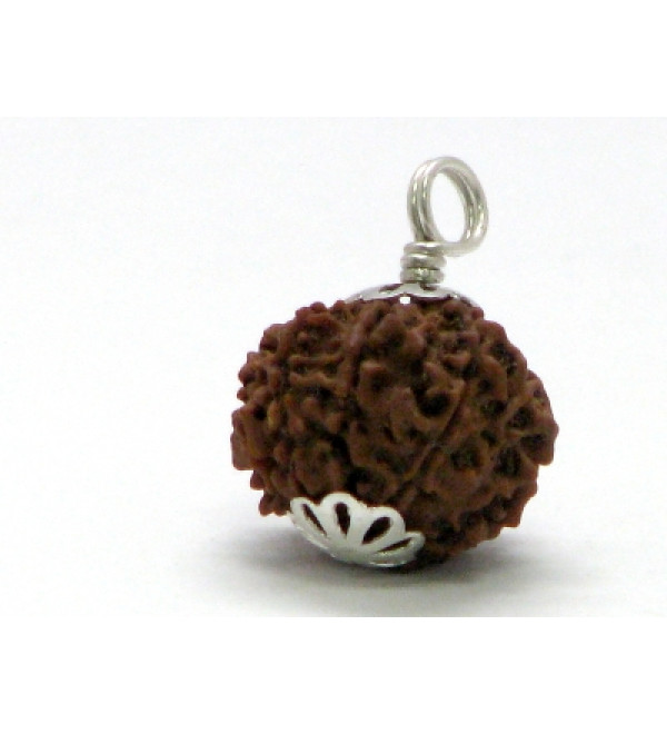 Rudraksha Bead: 8 Faces