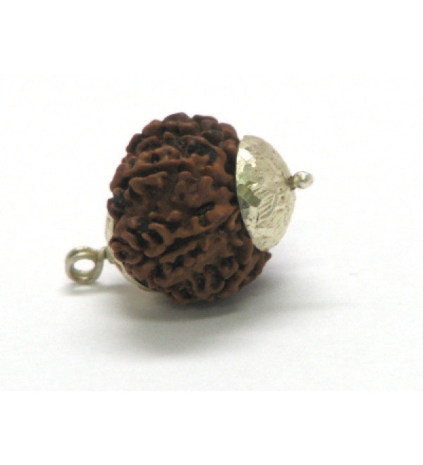 Rudraksha Bead: 9 Faces