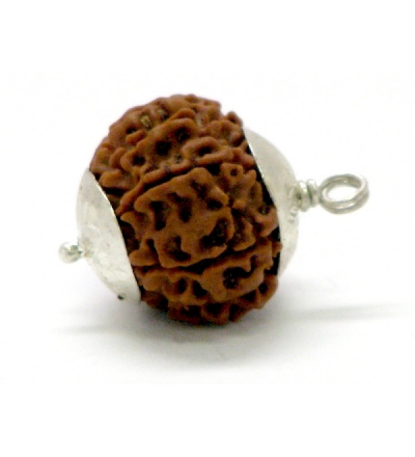 Rudraksha Bead: 10 Faces