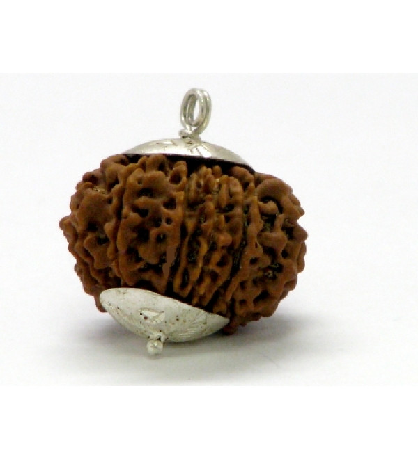 Rudraksha Bead: 11 Faces