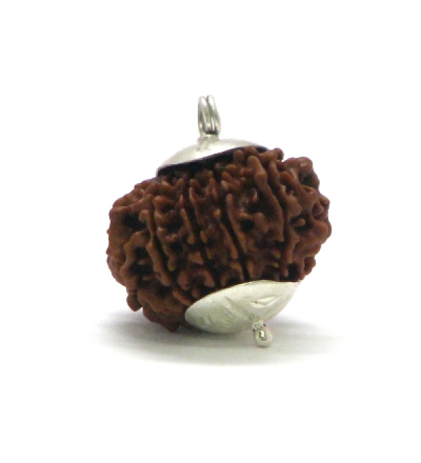 Rudraksha Bead: 12 Faces