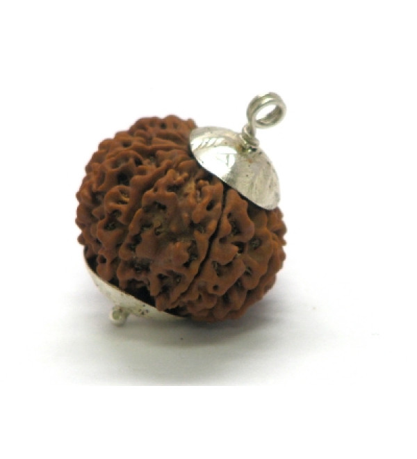 Rudraksha Bead: 13 Faces