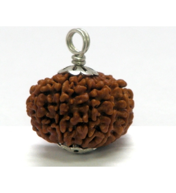 Rudraksha Bead: 14 Faces