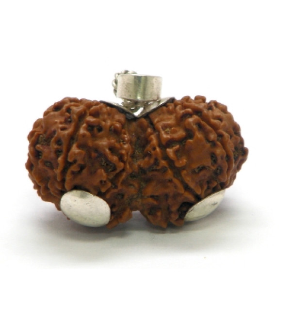 Rudraksha Bead: Gaurishankar