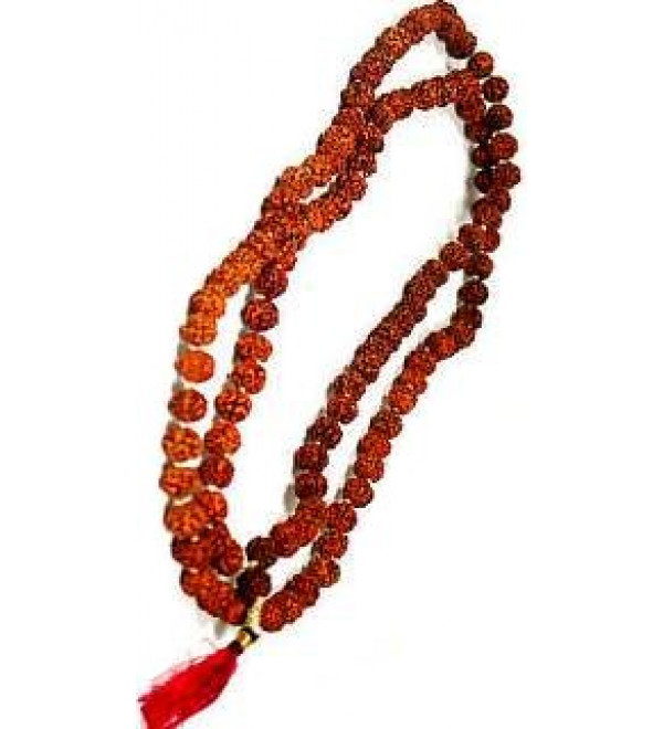 Japa Mala - Rudraksha