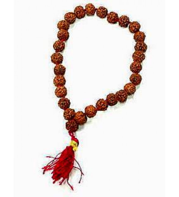 Japa Mala: Rudraksha 27 Beads